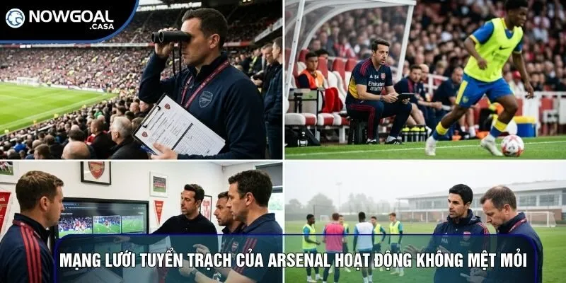 Mạng lưới tuyển trạch của Arsenal hoạt động không mệt mỏi 
